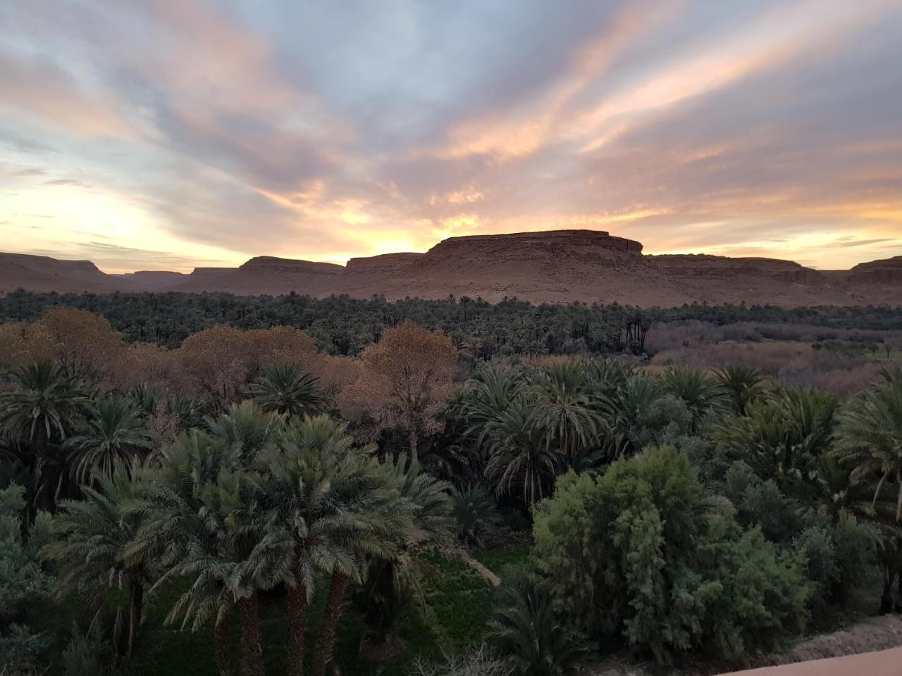 Maison D'Hotes Sahara Aoufous Buitenkant foto